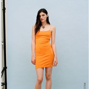 Zara Fitted Dress